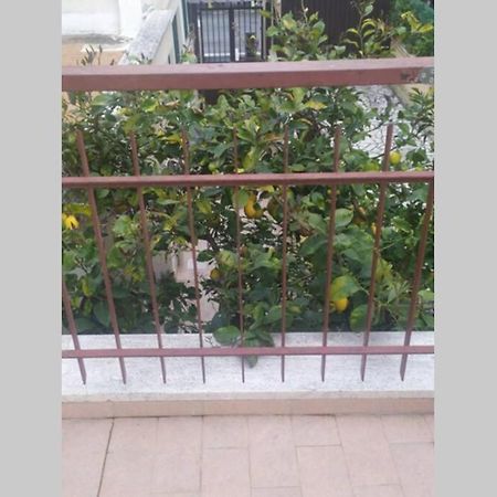 Ferienwohnung Appto Limone Lido di Ostia Exterior foto