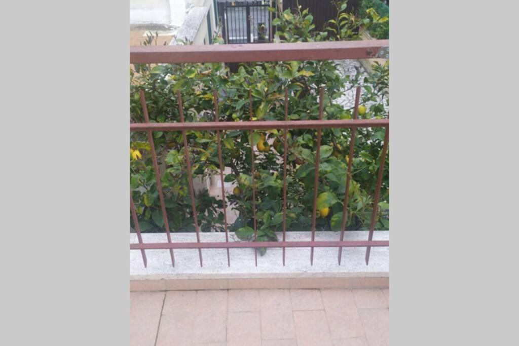 Ferienwohnung Appto Limone Lido di Ostia Exterior foto